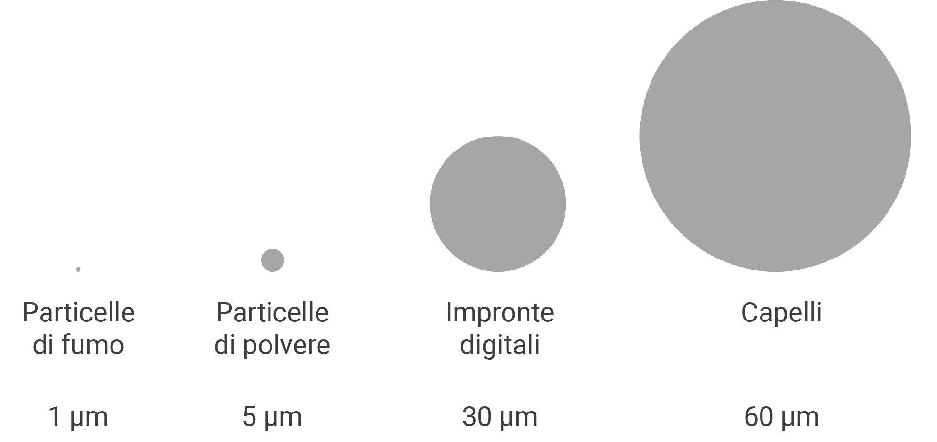 Dimensione delle particelle Pulizia tecnica WEBER